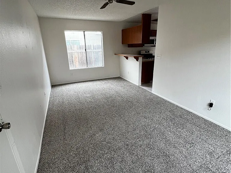 1195 Bautista Ln — Photo 24