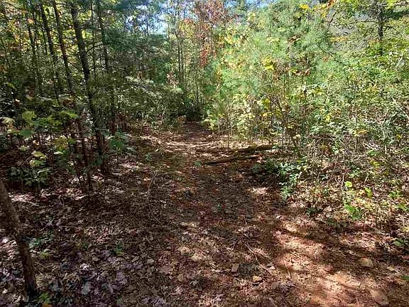 4th image of Mountain View Dr