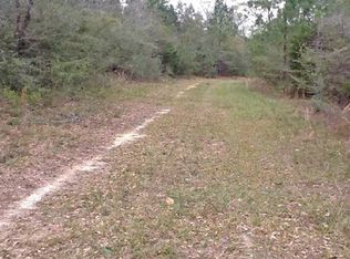 2957 Mitchell Rd, Hartford, AL 36344