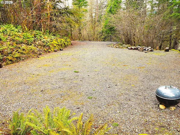 E King Rd, Blue River, OR 97413