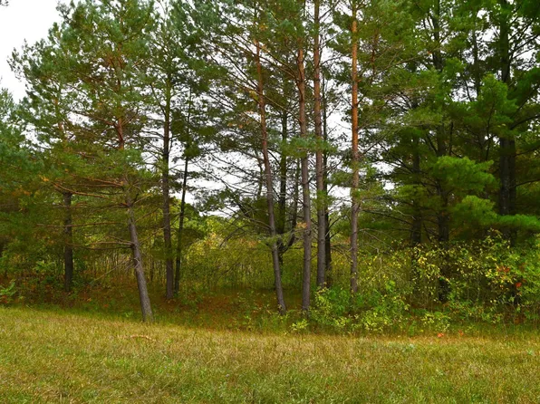 Pequot Dr, Browerville, MN 56438