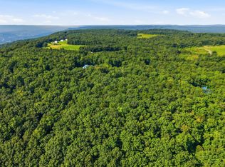 10 Big Bluff Vw Lot 10, Pikeville, TN 37367
