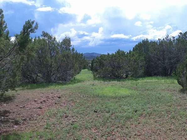 19 N3133, Vernon, AZ 85940