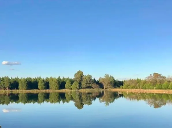 0 State Highway 43, Boligee, AL 35443