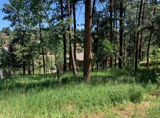 29983 Spruce Rd, Evergreen, CO 80439