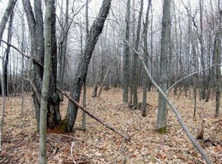 Deaner Rd, Howard City, MI 49329