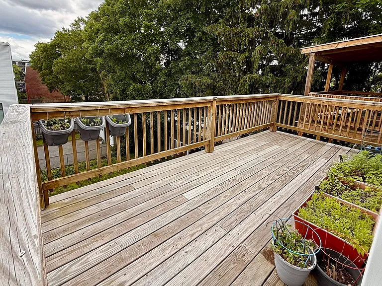 Back deck