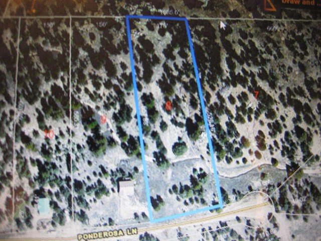 1st image of 133 Ponderosa Ln