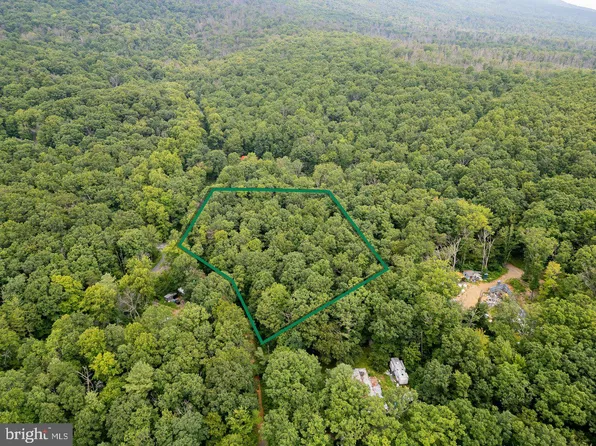 Dogwood Dr, New Market, VA 22844