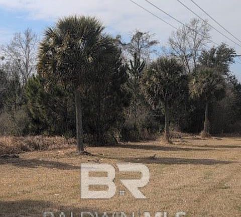 4th image of 0 County Road 96