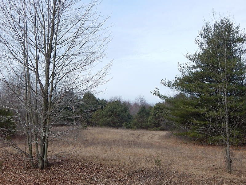 1st image of Vl Caine Road