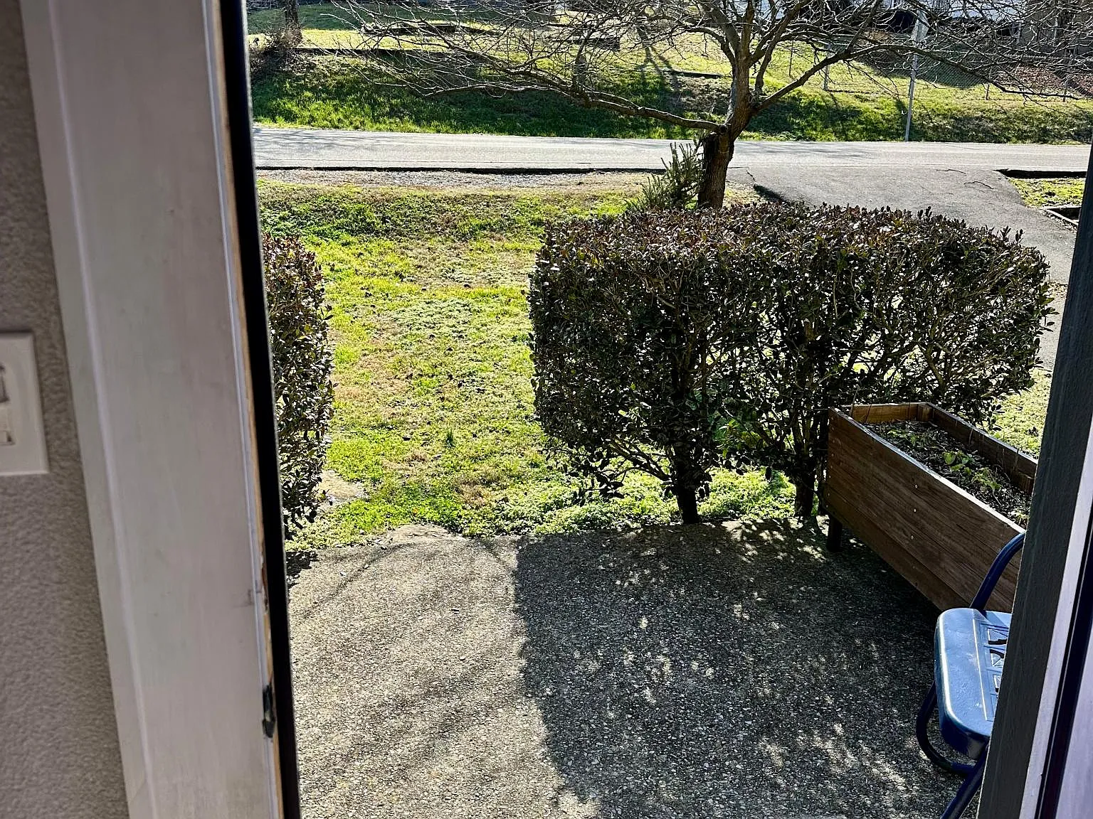 1 bed, 400 sqft, $975 — Photo 2