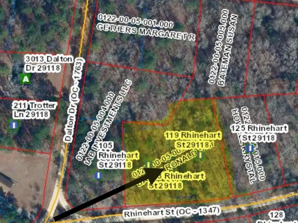 113 & 119 Rhinehart St, Orangeburg, SC 29118