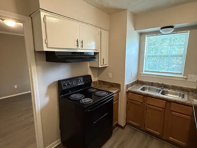3386 Spring Water Cv — Photo 11