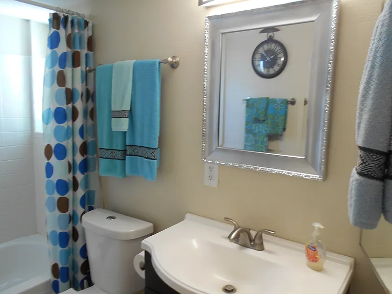 Hall Bath w/tub/shower combo, vanity, dual flush toilet