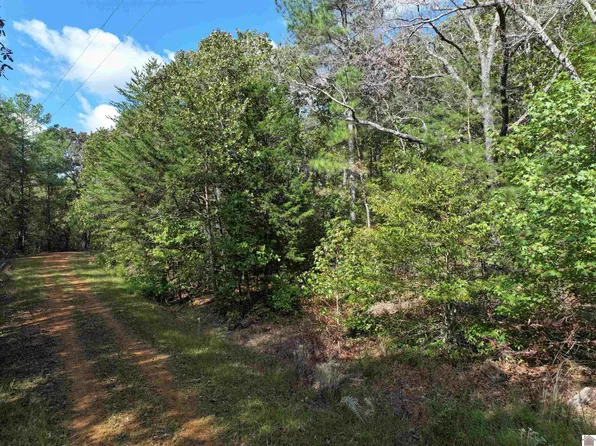 0 Smelser Dr #110-113-114, Murray, KY 42071