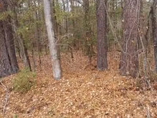 LOT 205 Prices Bridge Ln, Walterboro, SC 29488