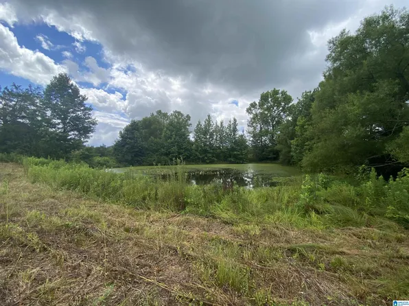 Buck Rd, Locust Fork, AL 35097