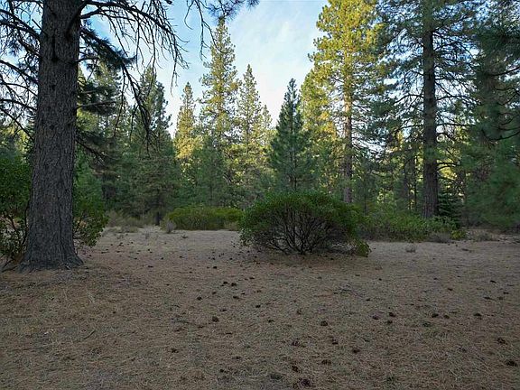 5th image of 6729 Shasta Cv