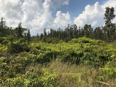 Road 3 Hopue Lot 3032, Mountain View, HI, 96771
