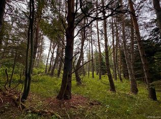 5.23 Messner Rd, Baraga, MI 49908