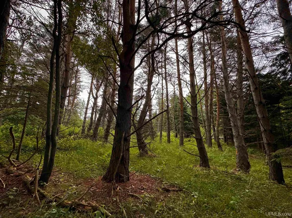 5.23 Messner Rd, Baraga, MI 49908