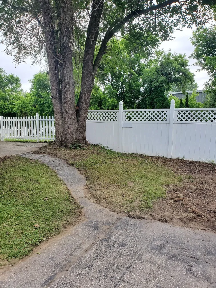 3 bed, $3,000 — Photo 2