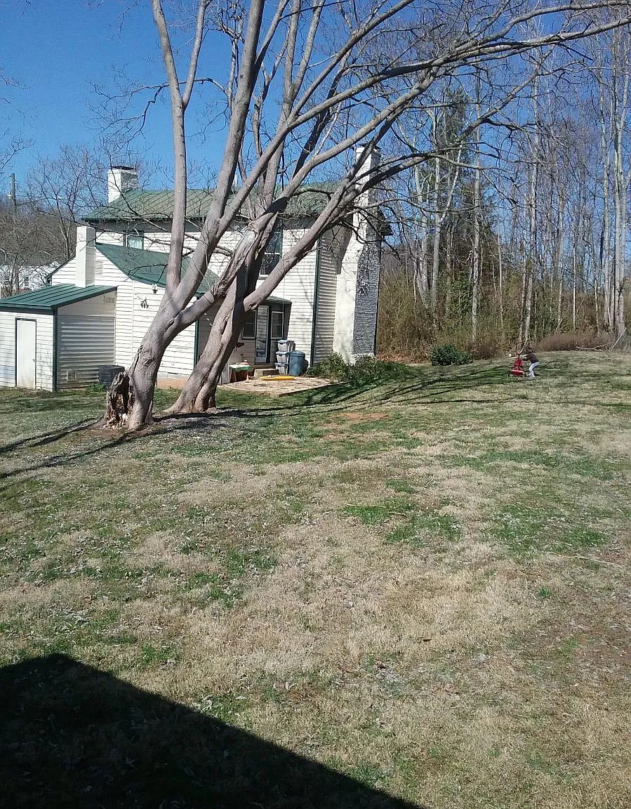 3 bed, 1336 sqft, $2,100 — Photo 2