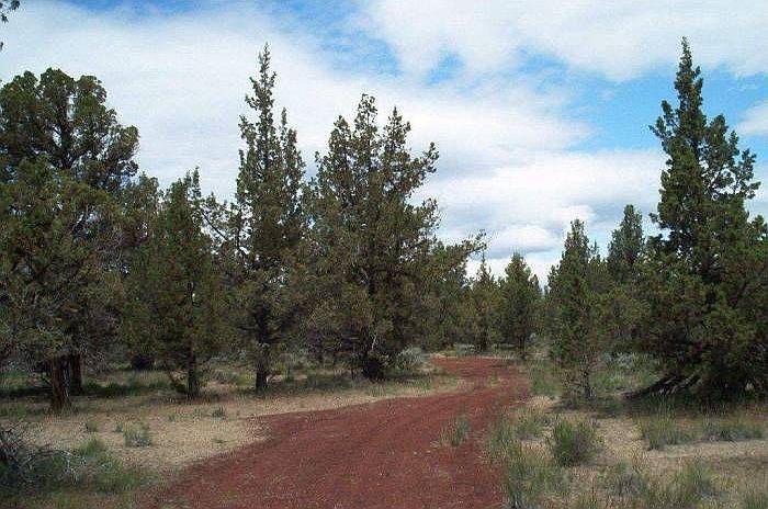 View from Driveway