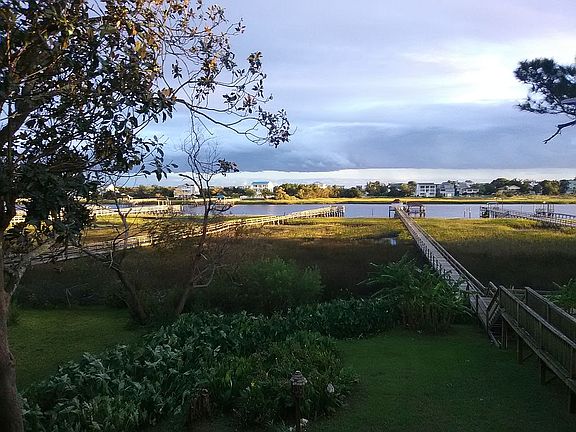 THE MOST BEAUTIFUL BACKYARD