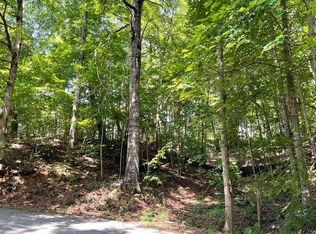 7 Mountain Dr N, Hiawassee, GA 30546