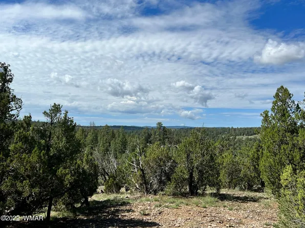 Par D 1885 Chevelon Rd, Heber, AZ 85928