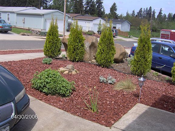 Lt side of front yard