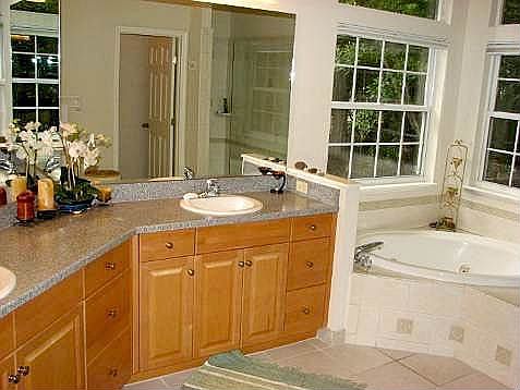 Luxury Master Bathroom