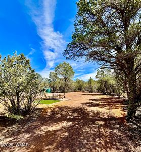 14 County Road 3573, Vernon, AZ, 85940