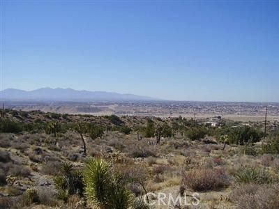 0 Wells Fargo Rd, Apple Valley, CA, 92308