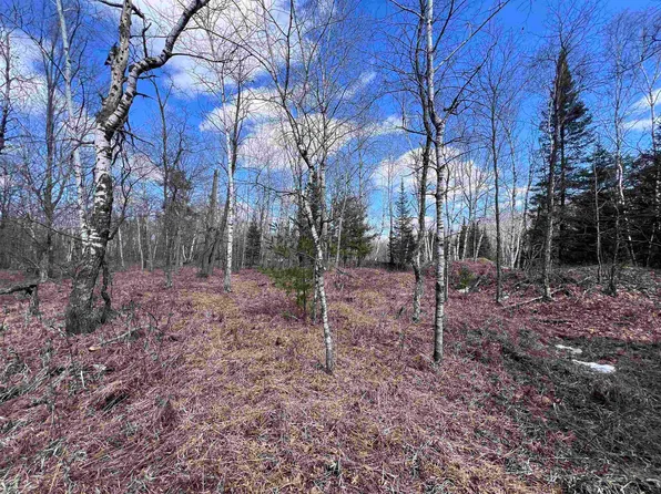 Nejedlo Rd #4, Wausaukee, WI 54177