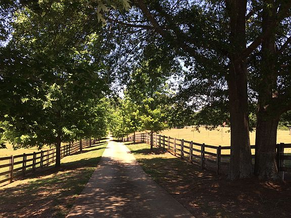 Tree lined driveway