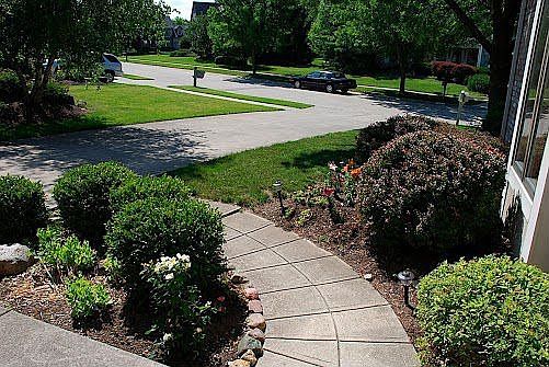 Front Yard From Front Door