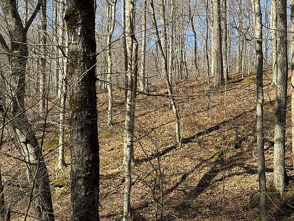 2nd image of 4 Gum Lick Rd