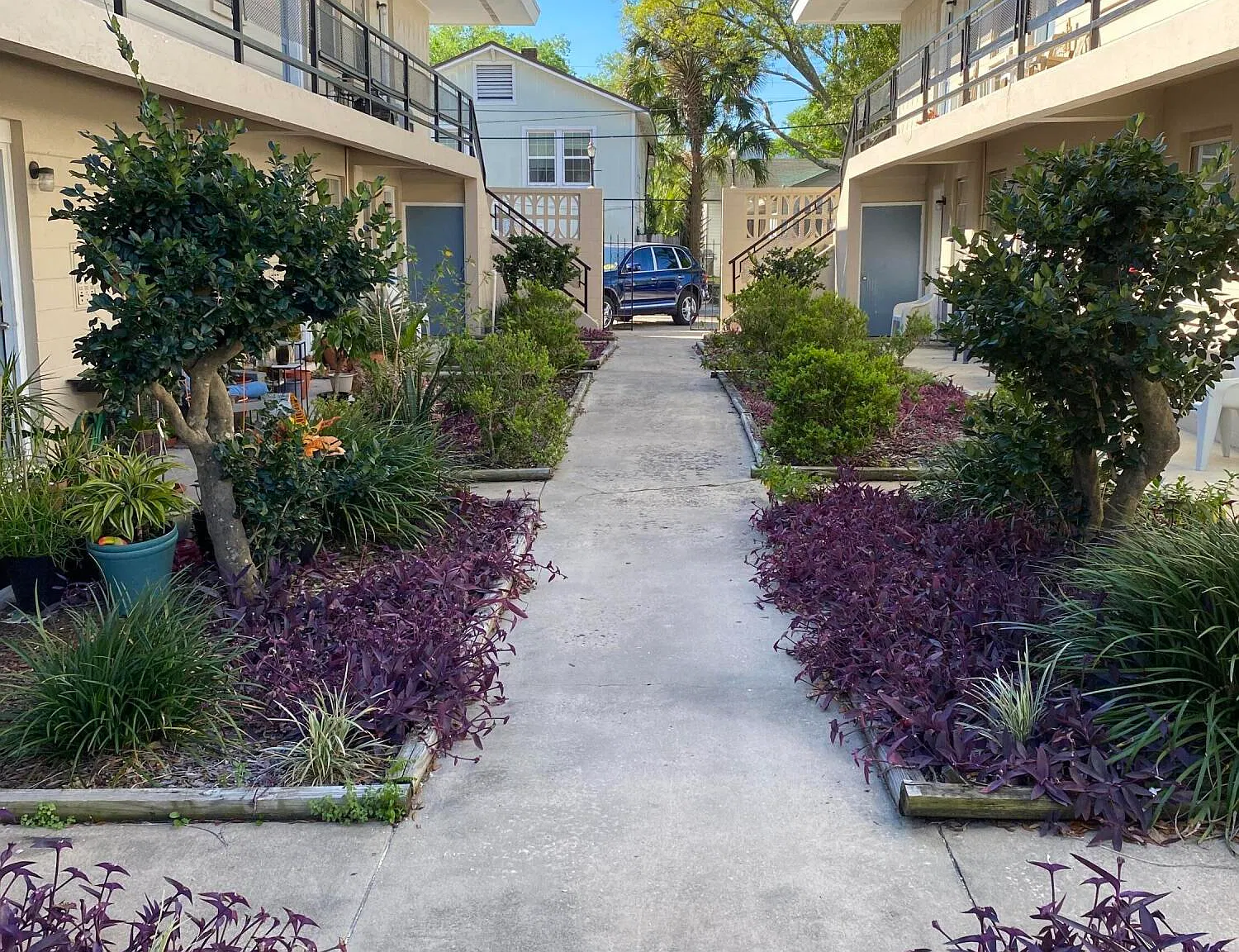 1 bed, 1.0 bath, 500 sqft, $895 — Photo 2