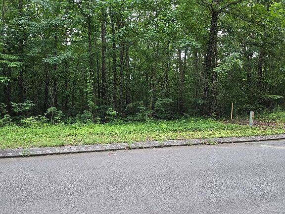 3rd image of 144 Lower Brow Rd Lot 144