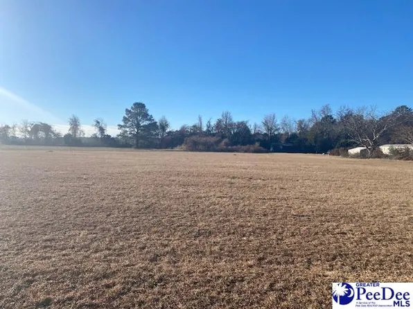 1 Morgans Ln, Hartsville, SC 29550