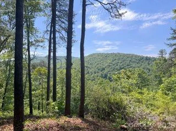 0 Green River Rd, Zirconia, NC 28790