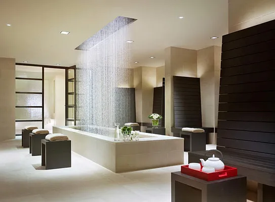 Rented by Nest Seekers International | media 29