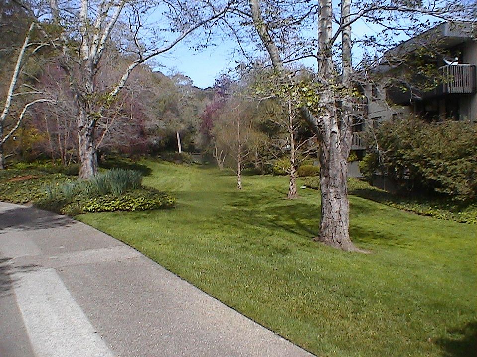 1st image of 2330 Shelter Creek Ln