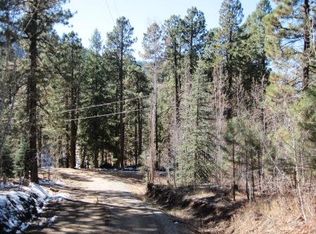 95 Mark Trl, Durango, CO 81301