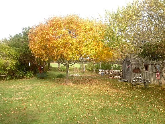 Fall