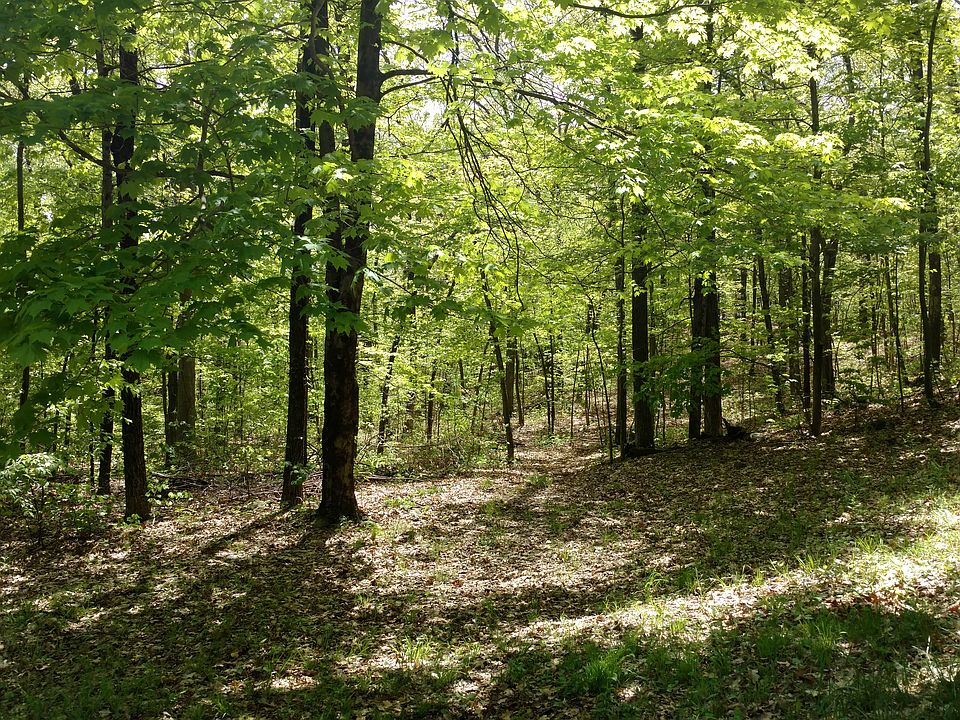 2nd image of 173 Mariondale Dr