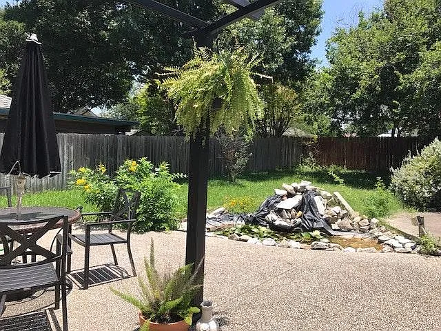 Backyard